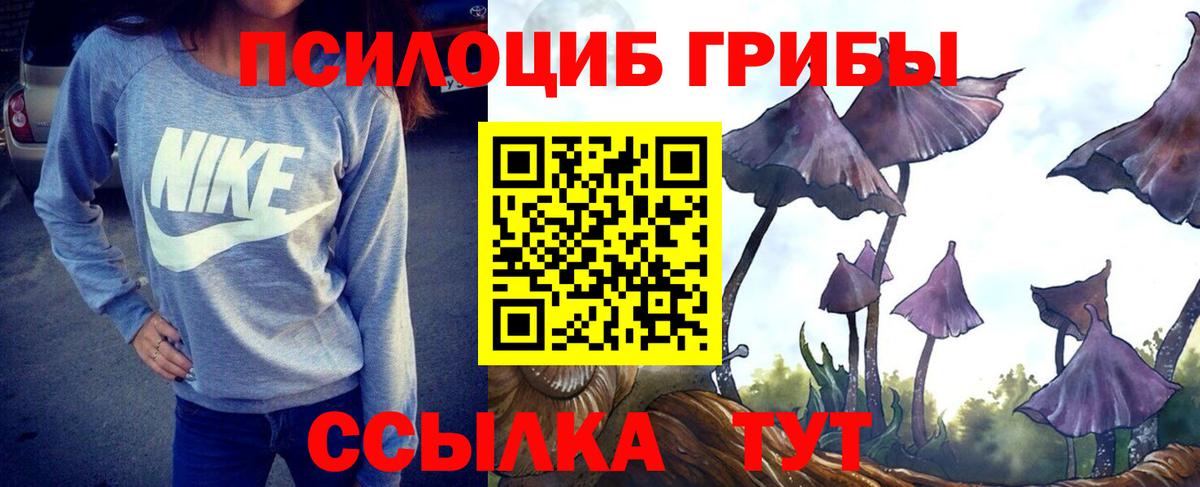 Псилоцибиновые грибы Cubensis Екатеринбург